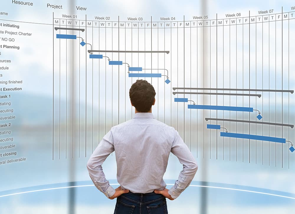 A project manager studying a programme plan, its Gantt bars spanning seven weeks.